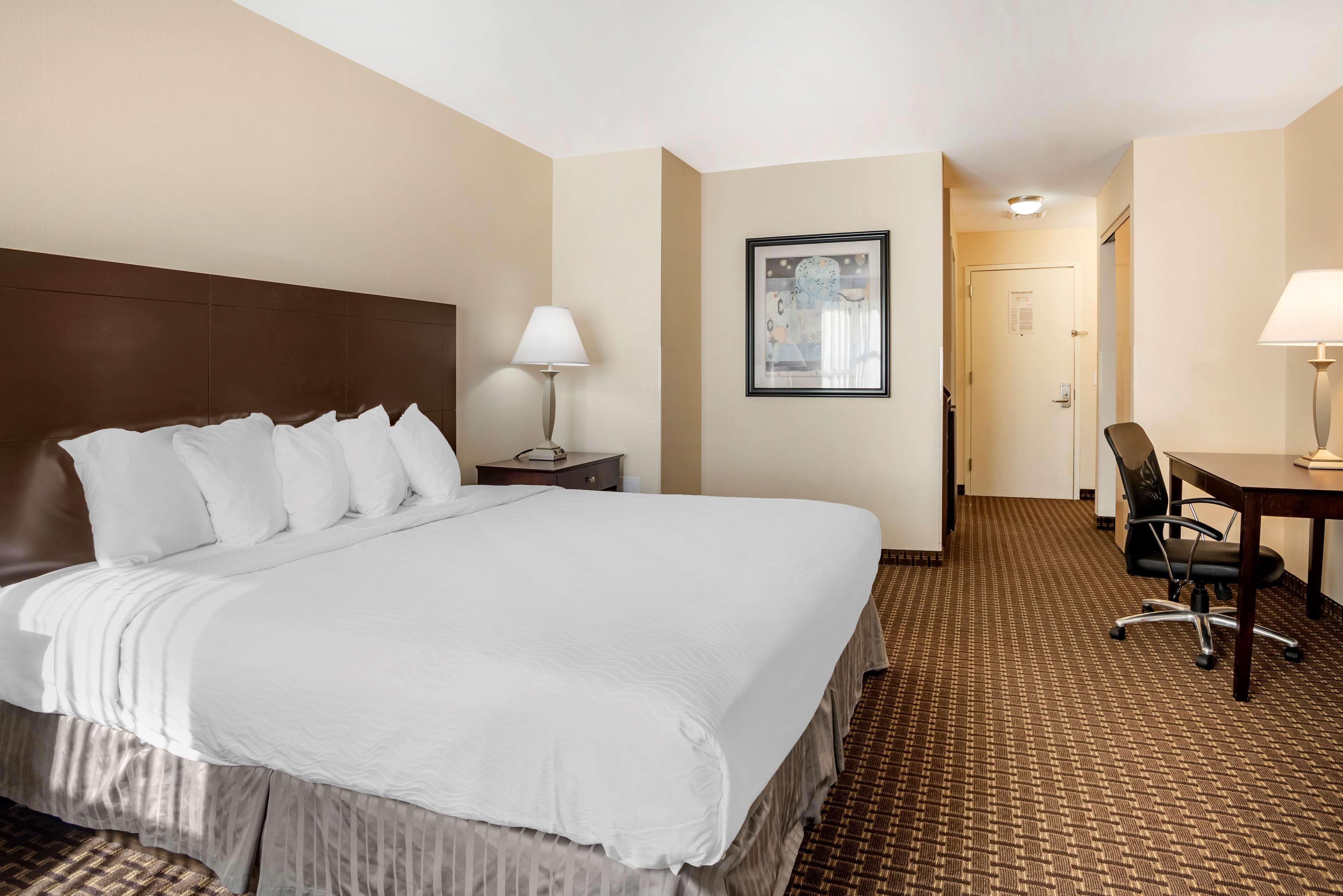 Best Western Plus Philadelphia Airport South - At Widener University Chester Εξωτερικό φωτογραφία