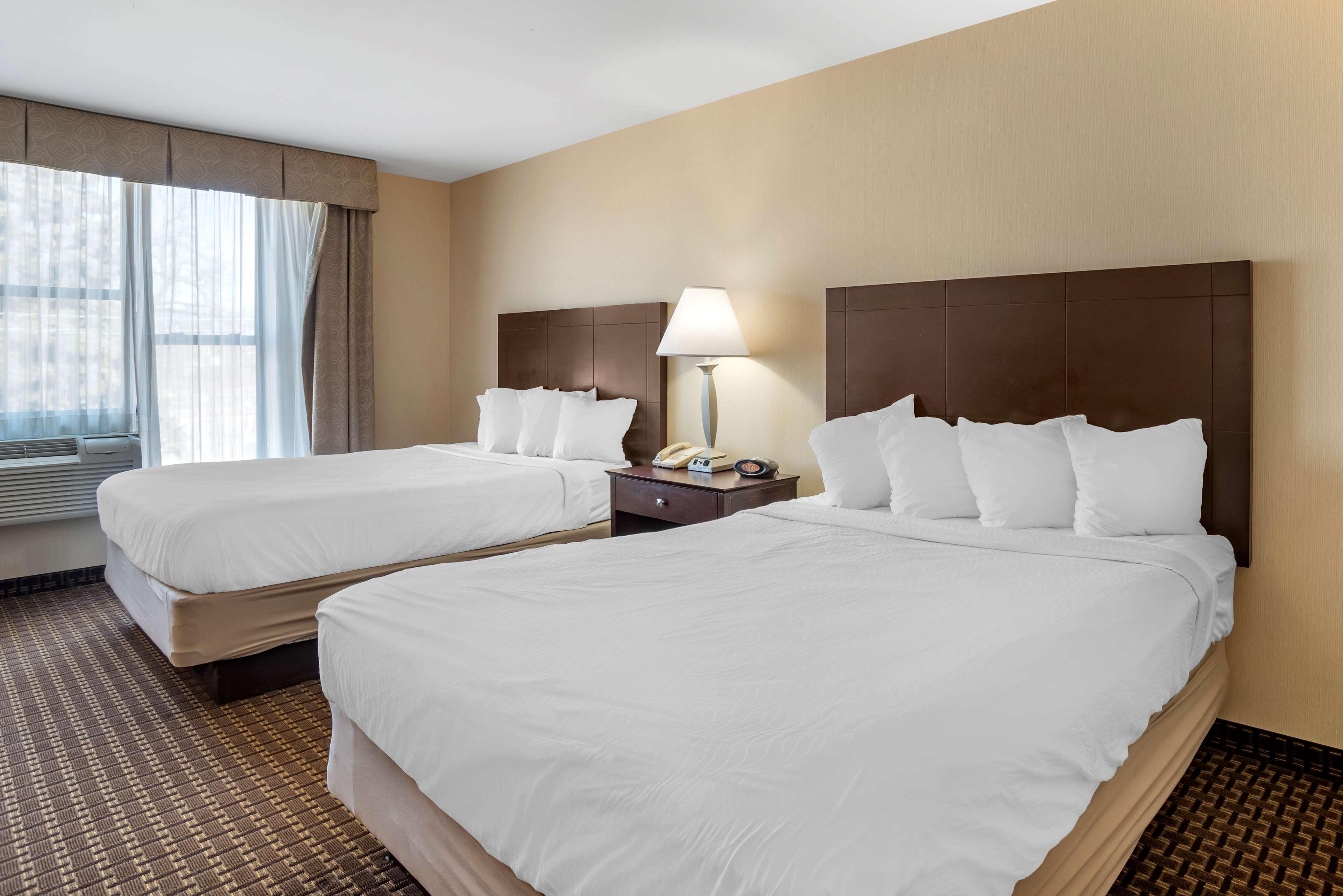 Best Western Plus Philadelphia Airport South - At Widener University Chester Εξωτερικό φωτογραφία